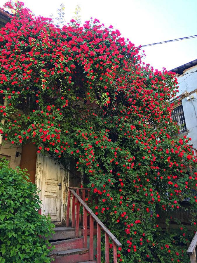 Apartment In Cozy Little Yard Tiflis Exterior foto